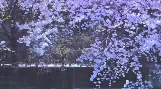 明明是纯爱大师,为什么岩井俊二比谁都“残酷”? 明明是纯爱大师,为什么岩井俊二比谁都“残酷”?