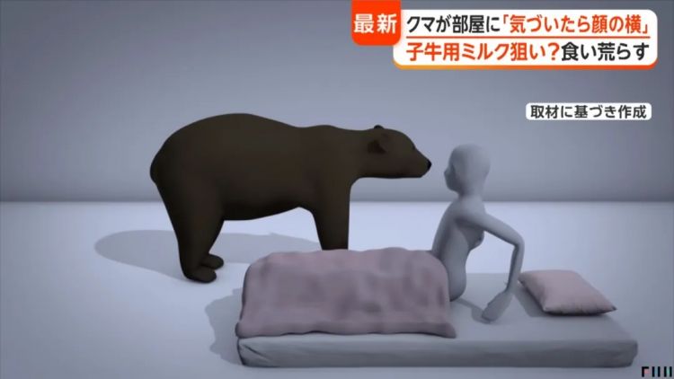 野猪街头打擂台，黑熊纵享“霸王餐”……日本迎来野生动物暑期“City Walk”