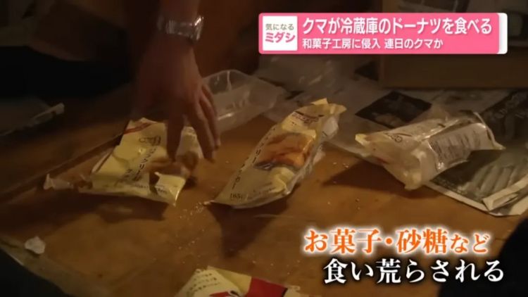 野猪街头打擂台，黑熊纵享“霸王餐”……日本迎来野生动物暑期“City Walk”
