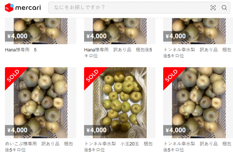 日本果园5000颗梨一夜被偷光，却有人转头在二手平台卖？！果农大哭：我不干了！