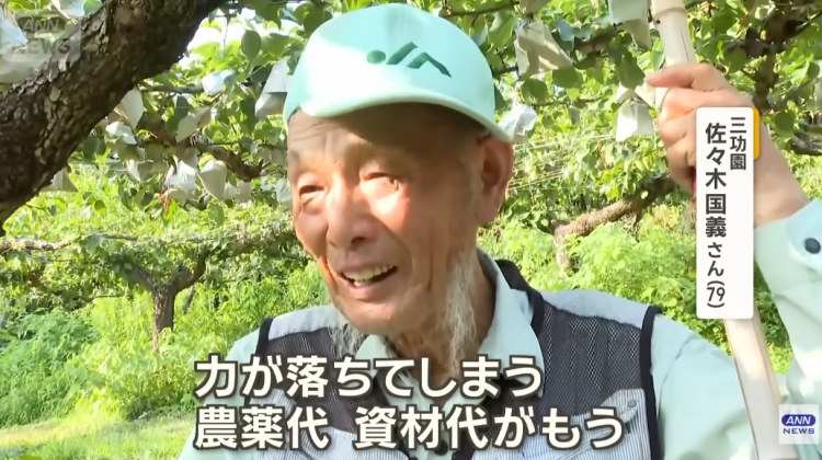 日本果园5000颗梨一夜被偷光，却有人转头在二手平台卖？！果农大哭：我不干了！