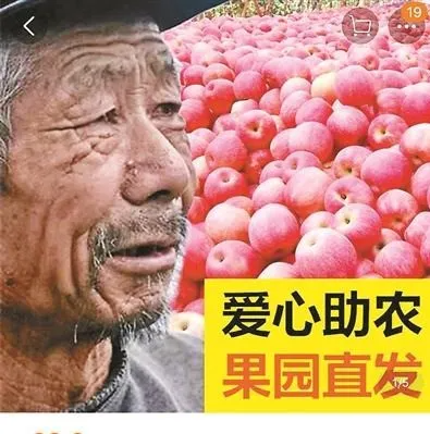 日本果园5000颗梨一夜被偷光，却有人转头在二手平台卖？！果农大哭：我不干了！
