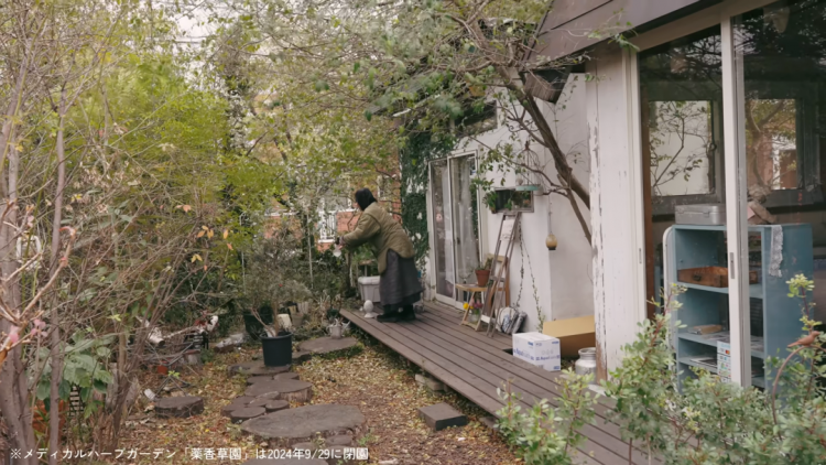 被东京快节奏逼疯的年轻人，在一间“秘密花园”里找到了焦虑的解药……